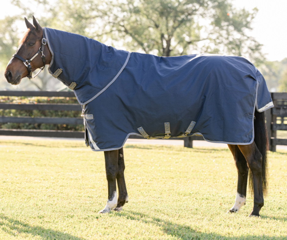 Rhino Plus Turnout 100g - Size 4'3NZ (5'6Uk)