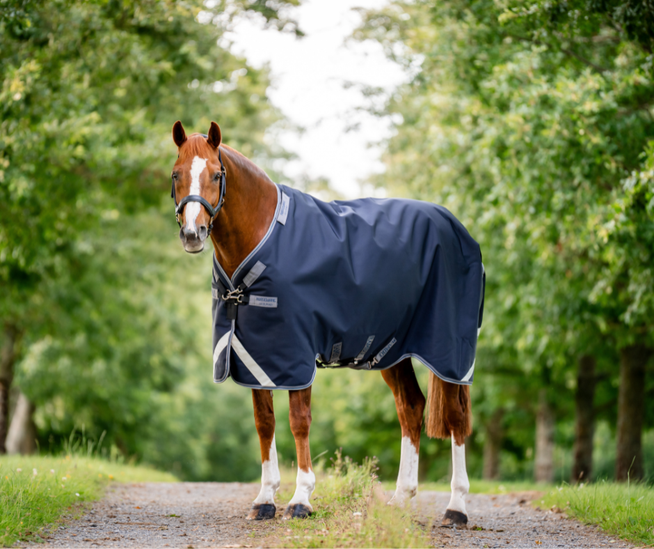 Amigo 1200D XL Turnout