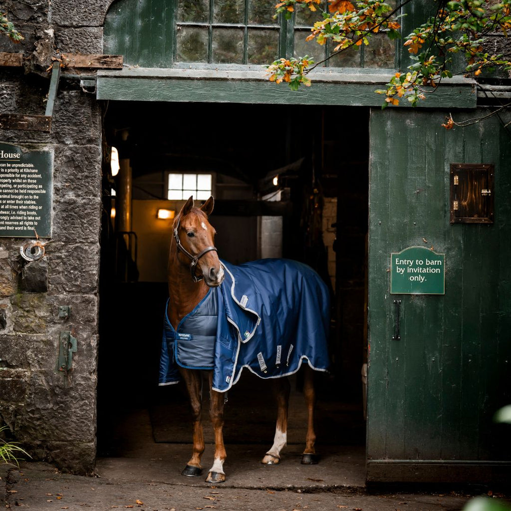 Horseware Liner - 200g