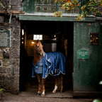 Horseware Liner - 200g