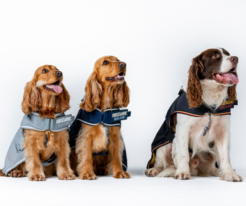 Horseware Newmarket Dog Coat