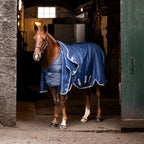 Horseware Liner - 100g