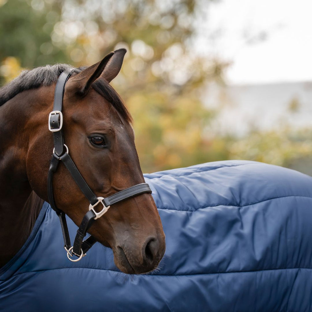 Horseware Liner - 200g