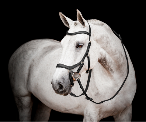 Horseware Micklem® 2 Competition Bridle