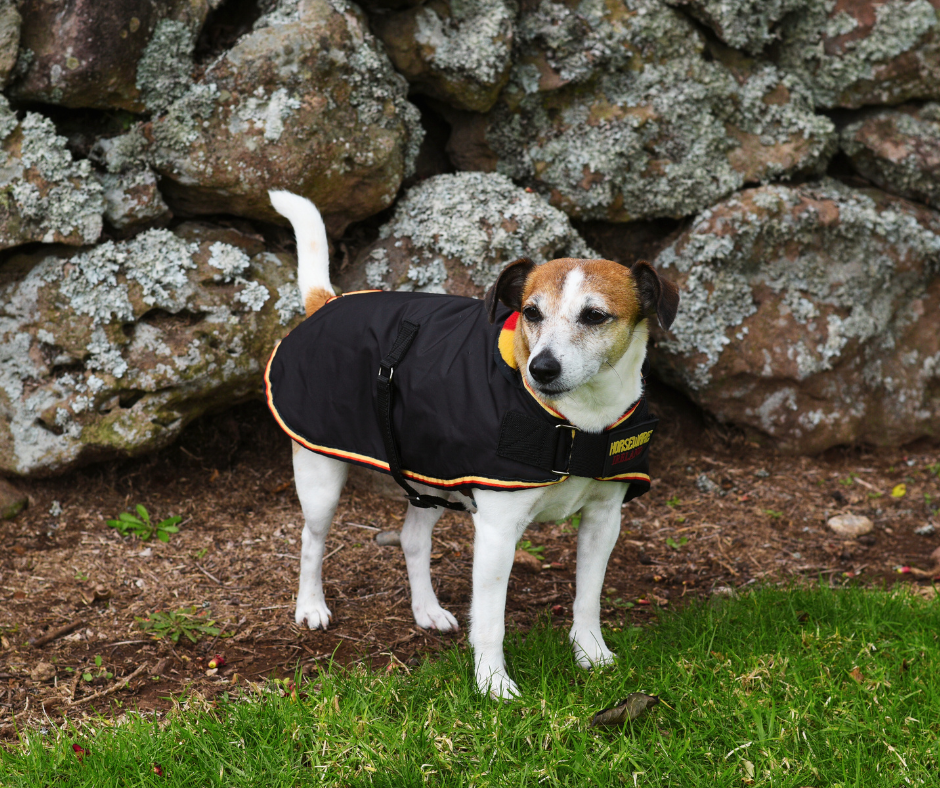 Horseware Newmarket Dog Coat