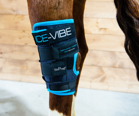 Ice-Vibe Circulation Hock Therapy