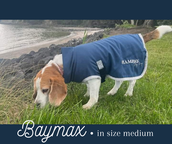 Rambo Dog Dry Rug HorseFit