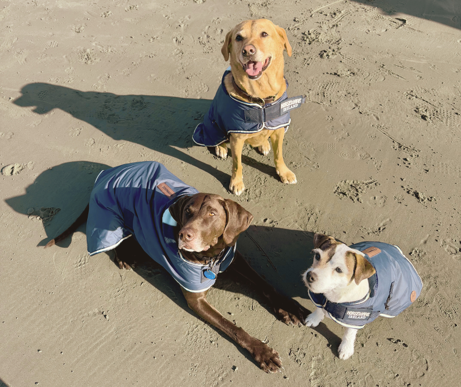 Horseware Newmarket Dog Coat