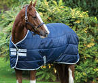 Amigo Insulator Plus (200g Medium)