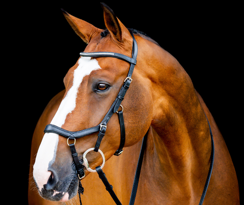 Horseware Micklem® 2 Diamante Competition Bridle