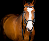 Horseware Micklem 2 Deluxe Competition Bridle