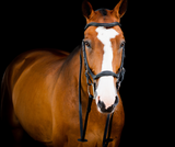 Horseware Micklem® 2 Deluxe Competition Bridle