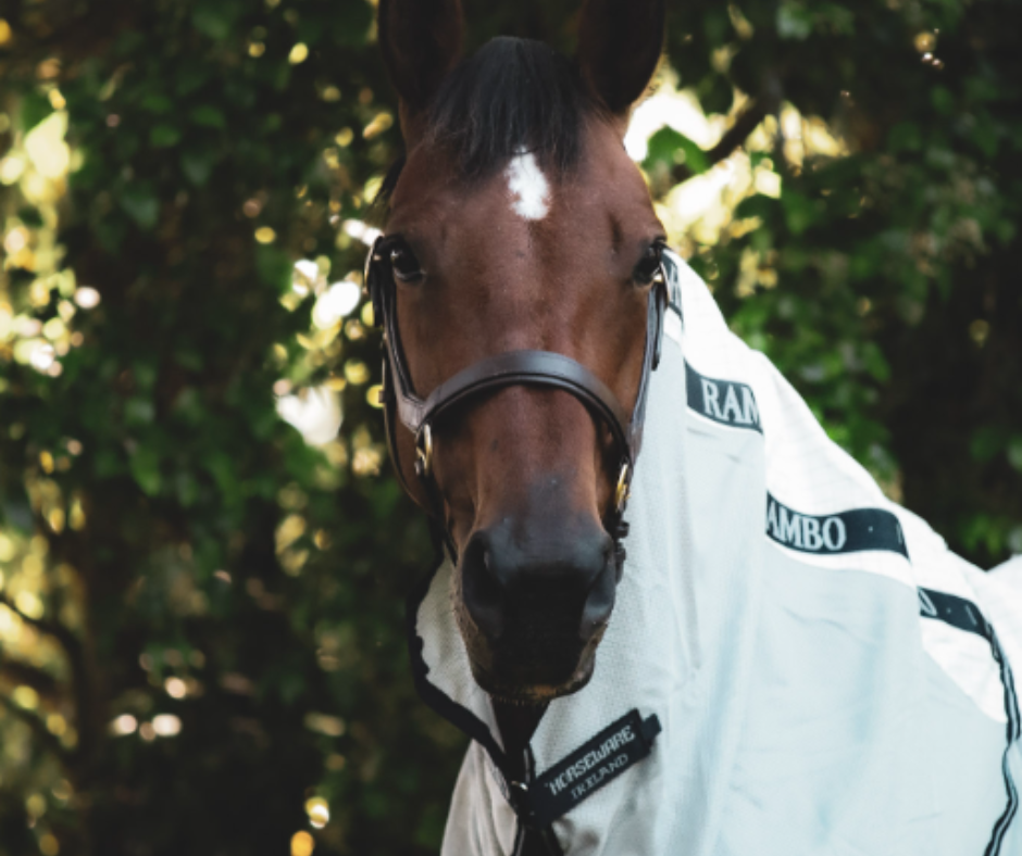 Rambo Airflow V-Front -Size 4'6NZ (5'9Uk)