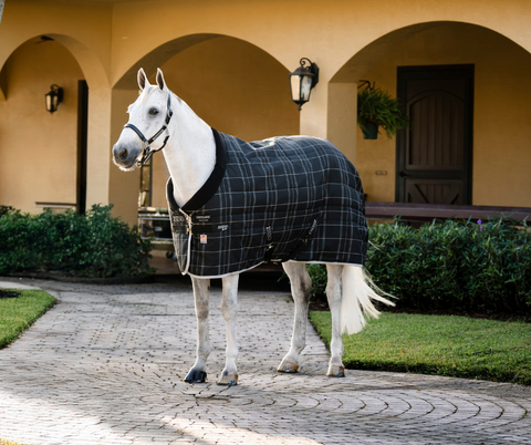 Rhino Stable Rug 100g