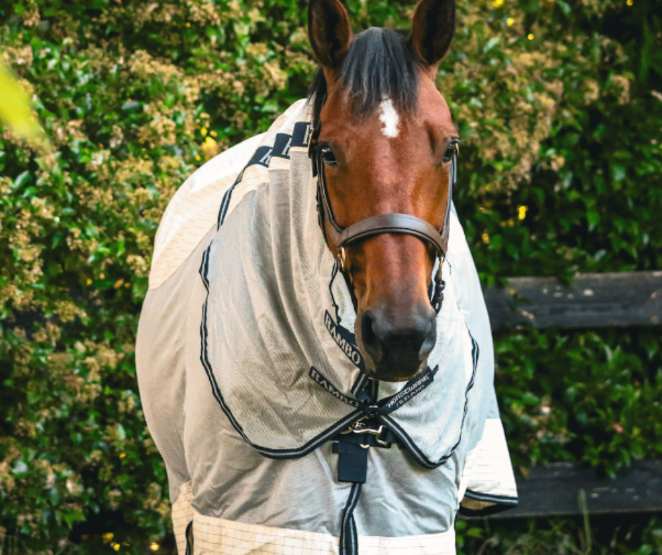 Rambo Airflow V-Front -Size 4'6NZ (5'9Uk)