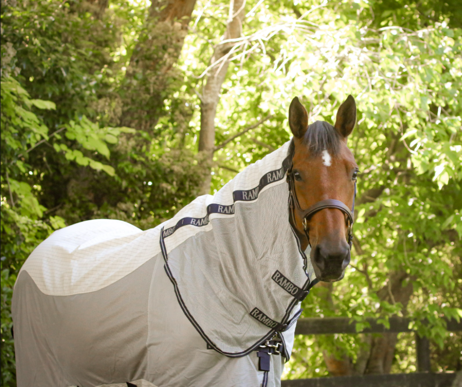 Rambo Airflow V-Front -Size 4'6NZ (5'9Uk)