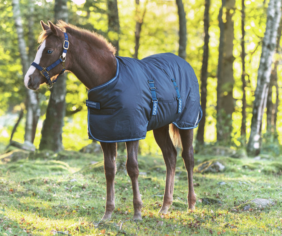 Amigo Ripstop 900D Foal Turnout 50g