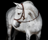 Horseware Micklem 2 Multi Bridle