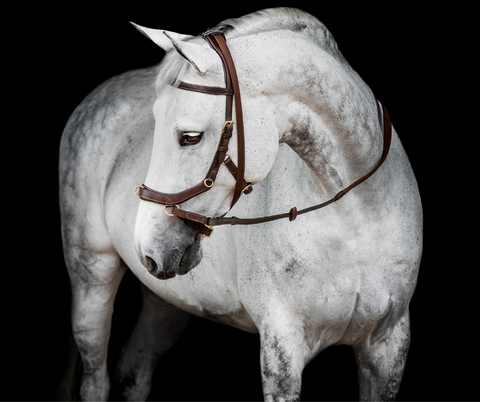 Horseware Micklem 2 Multi Bridle