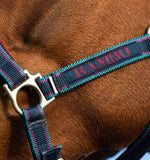 Rambo Padded Headcollar - Pony
