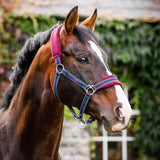 Rambo Padded Headcollar - Pony