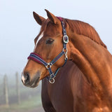 Rambo Padded Headcollar - Pony