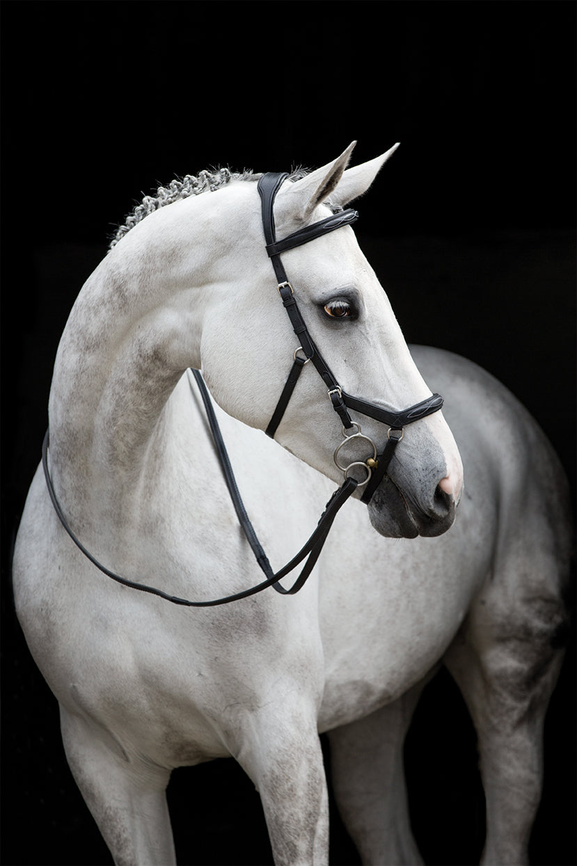 micklem bridle headpiece