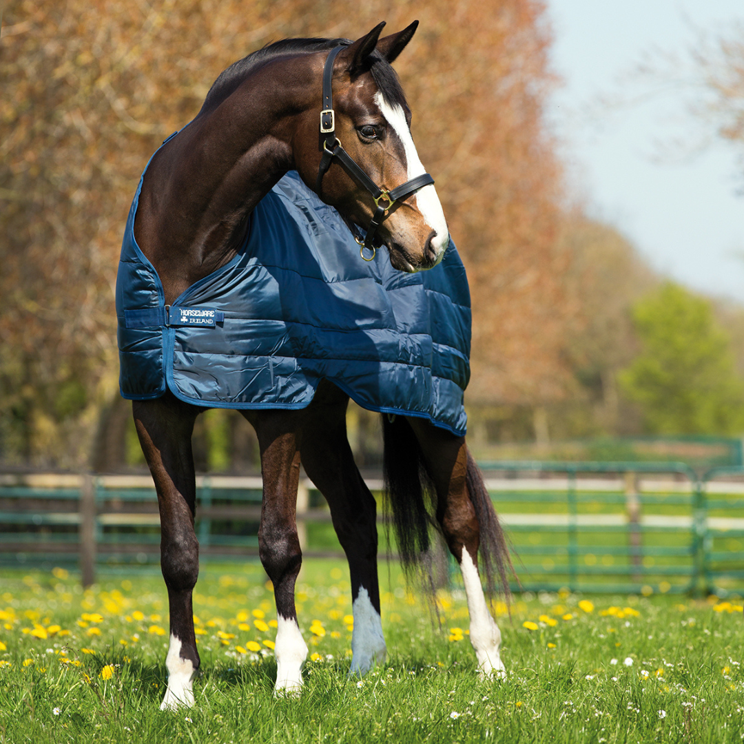 Horseware Liner - 200g (Sizes 5'6Uk - 6'0Uk)