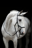 Rambo Micklem Original Competition Bridle