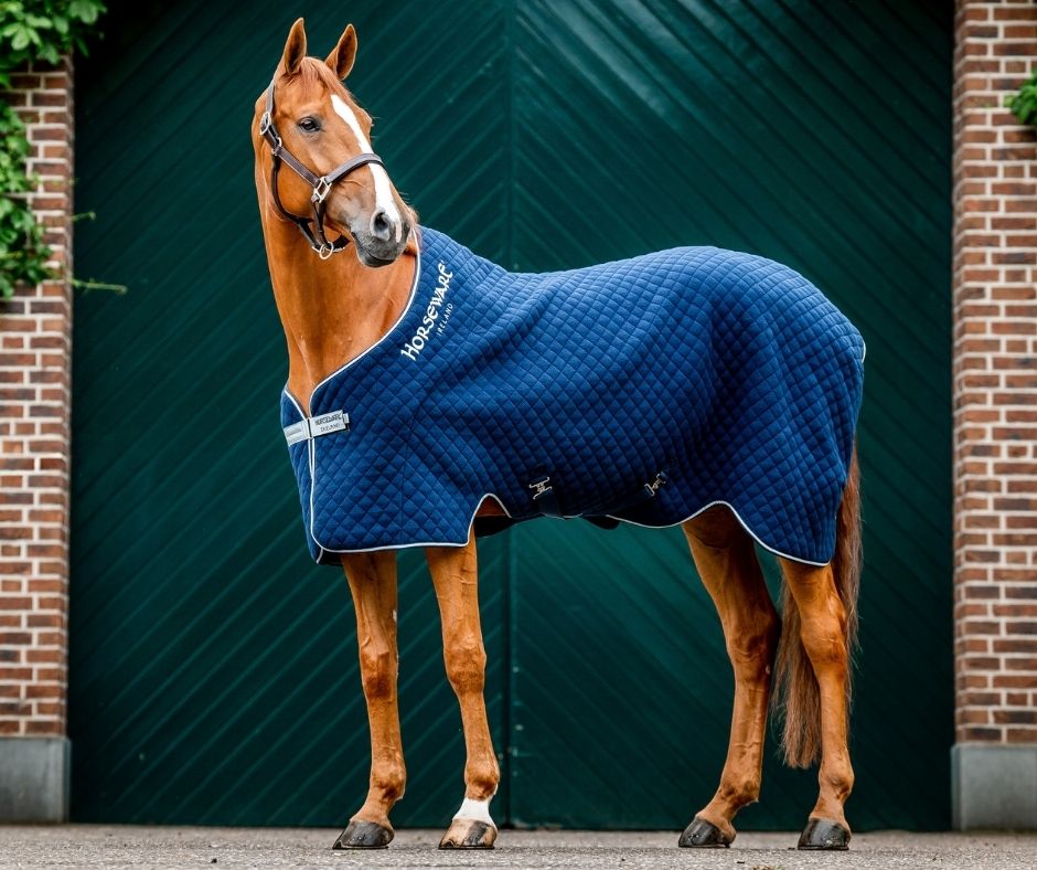 Horseware Thermal Cooler