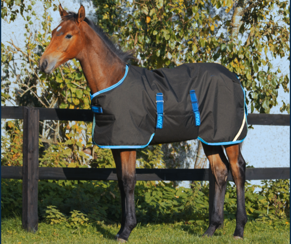 Amigo Ripstop 900D Foal Turnout 50g