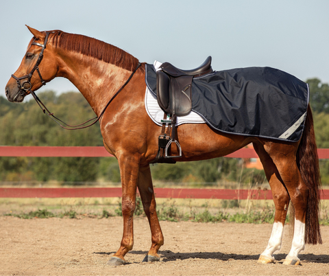 Amigo Ripstop Exercise Sheet (Fleece lining)