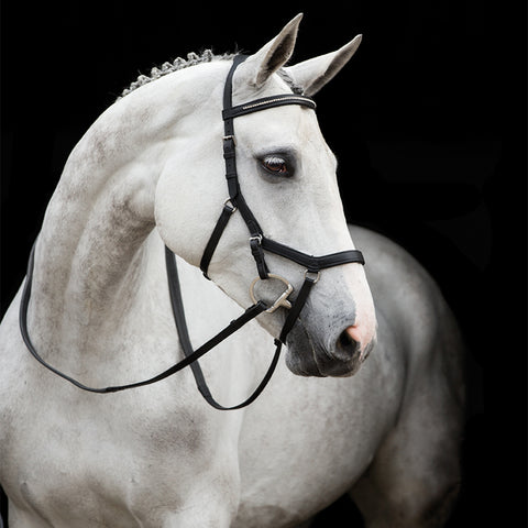 Rambo Micklem Diamante Competition Bridle