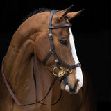 Rambo Micklem Multi-Bridle