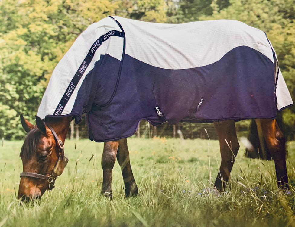 Amigo Airflow Summer Sheet HorseFit