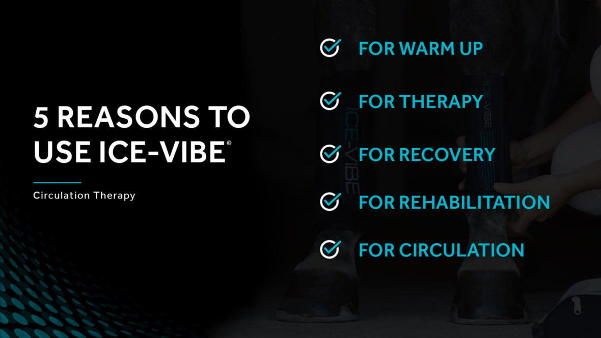 Ice-Vibe